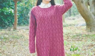 女士毛衣编织款式
